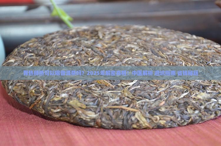 胃热肺热可以喝普洱茶吗
