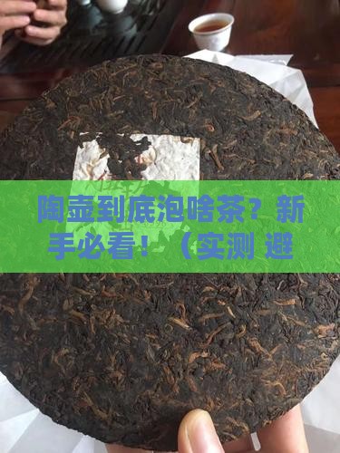 陶壶一般泡什么茶