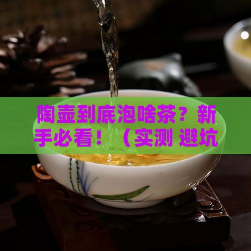 陶壶一般泡什么茶