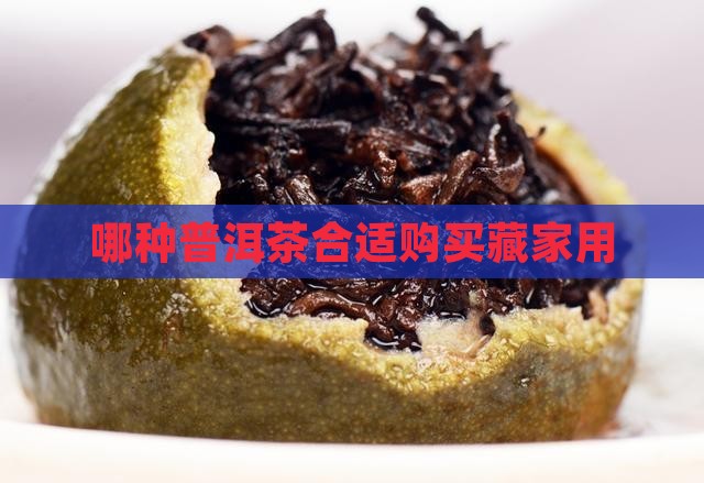 哪种普洱茶合适购买藏家用