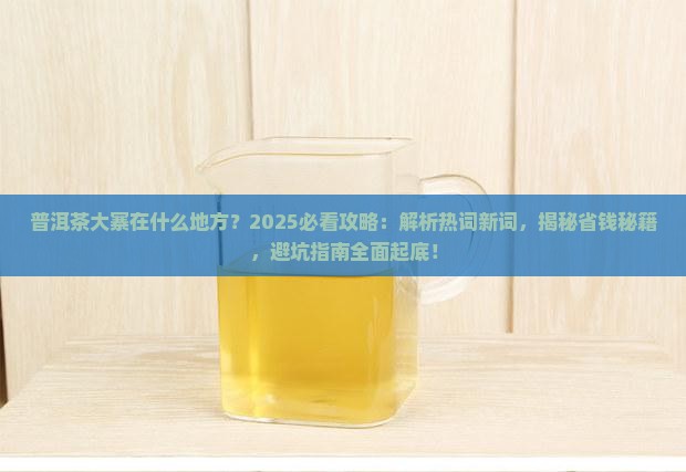 普洱茶大寨在什么地方