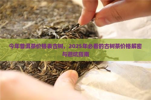 今年普洱茶价格表古树