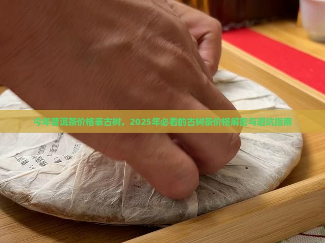 今年普洱茶价格表古树