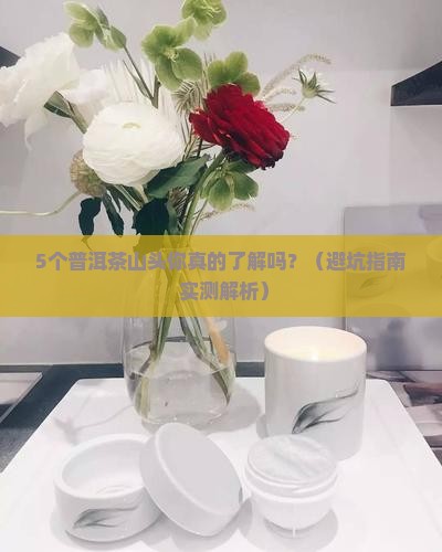 普洱茶产地那几个山头