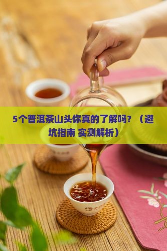 普洱茶产地那几个山头