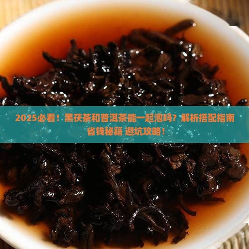 黑茯茶和普洱茶能一起泡吗