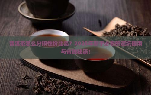 普洱茶怎么分辨性价比高