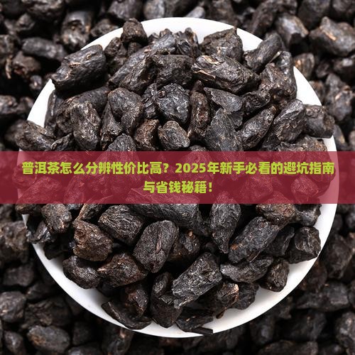 普洱茶怎么分辨性价比高