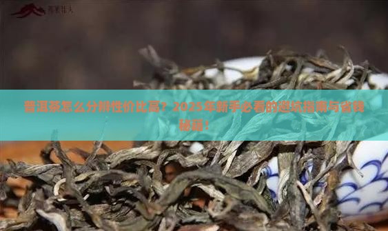 普洱茶怎么分辨性价比高