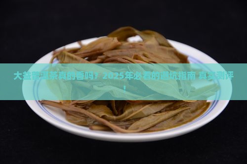 大益普洱茶的现状与发展