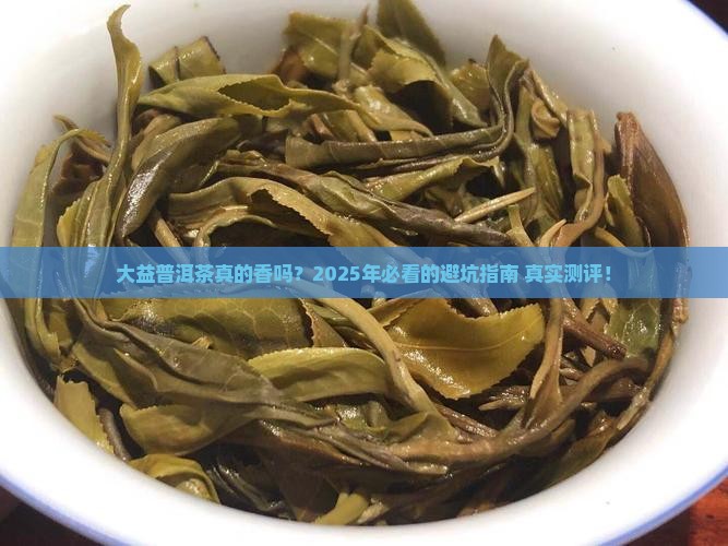大益普洱茶的现状与发展