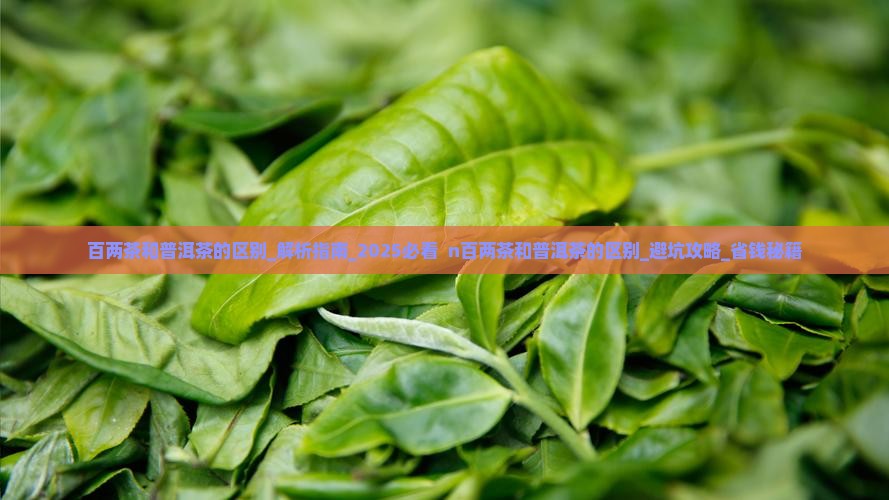 百两茶和普洱茶的区别