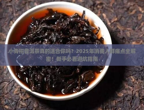 小青柑普洱茶的消费人群