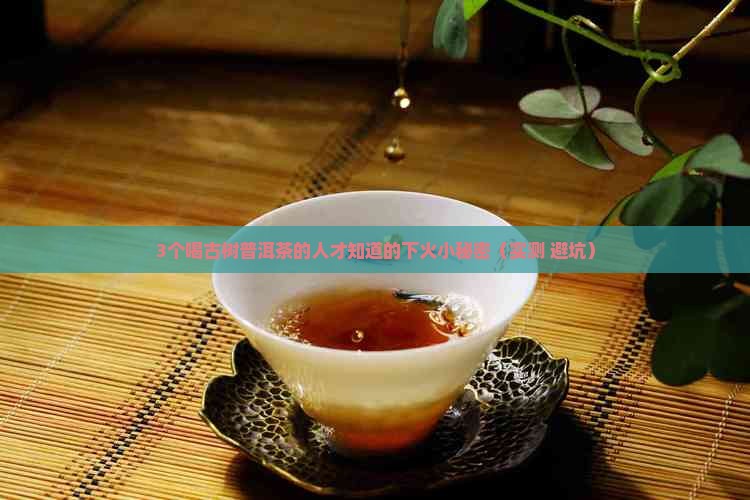 古树普洱茶下火吗