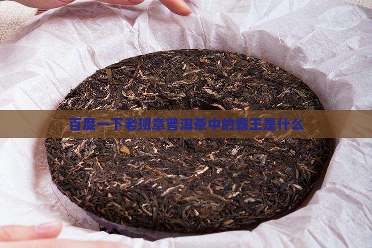 百度一下l老班章