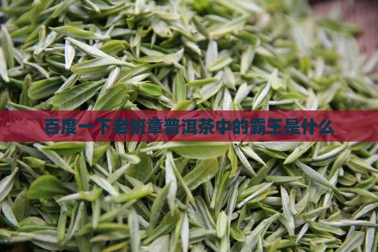 百度一下l老班章