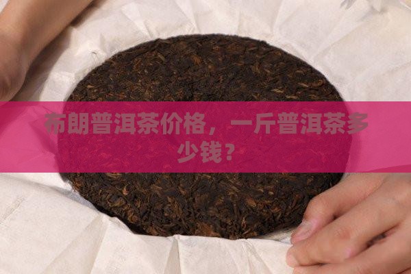 布朗山普洱茶多少钱一斤