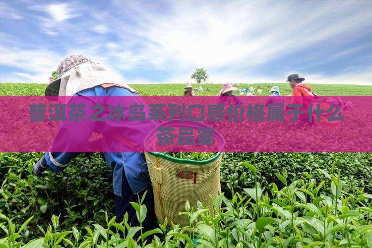 普洱茶之冰岛系列