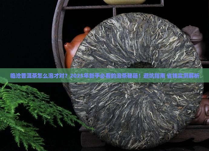 临沧普洱茶的正确泡法