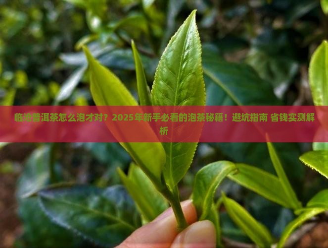 临沧普洱茶的正确泡法