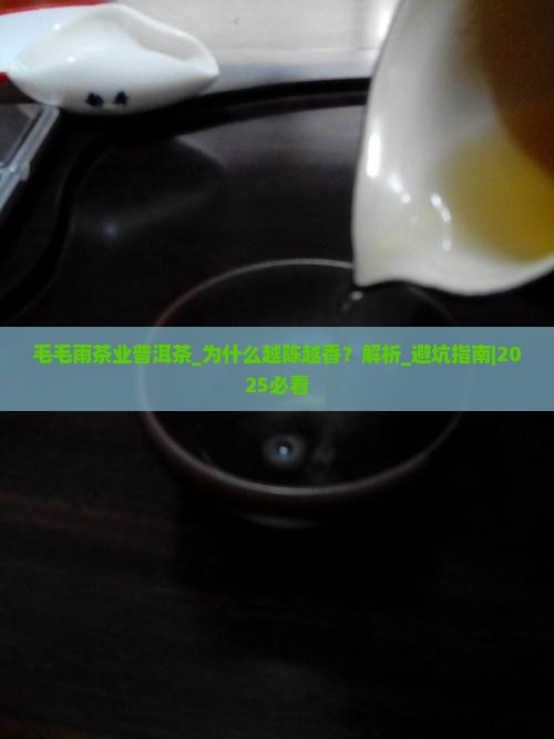 毛毛雨茶业普洱茶