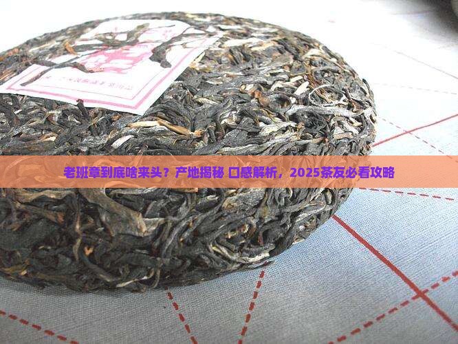 老班章啥意思老班章的产地和特征