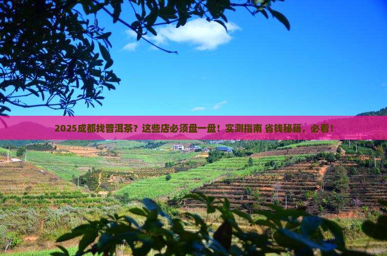 成都有卖普洱茶的店吗