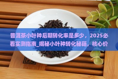 普洱茶小叶种后期转化率是多少