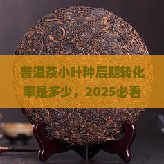 普洱茶小叶种后期转化率是多少