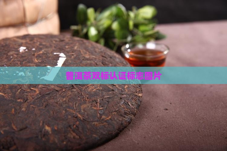 普洱茶双标认证标志