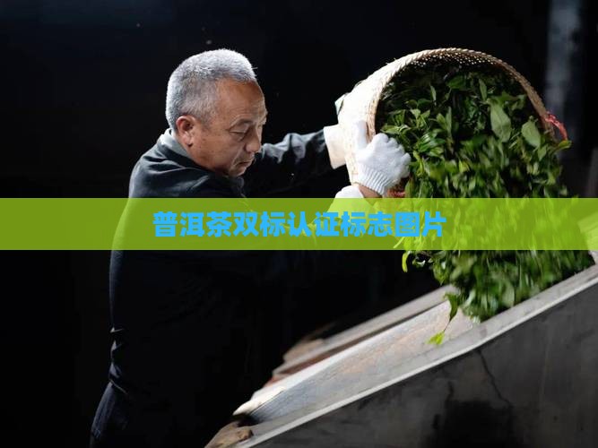 普洱茶双标认证标志