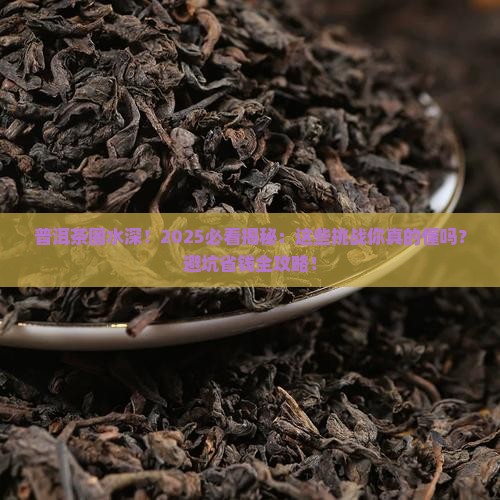 普洱茶面临的挑战