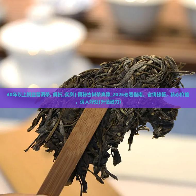 40年以上班盆普洱茶