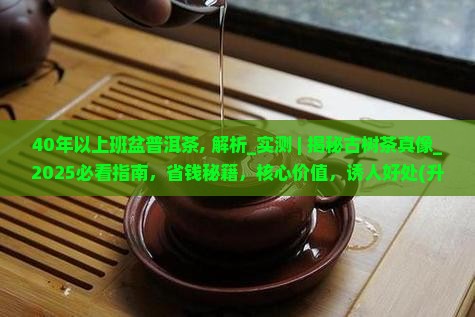 40年以上班盆普洱茶
