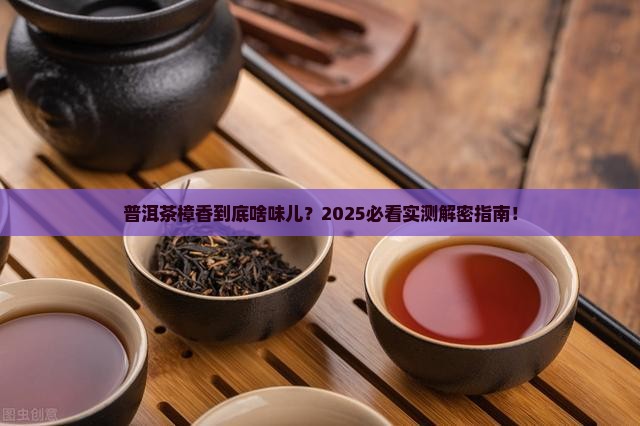 普洱茶的樟香是什么滋味