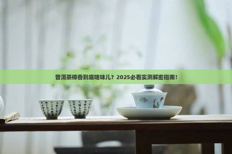 普洱茶的樟香是什么滋味