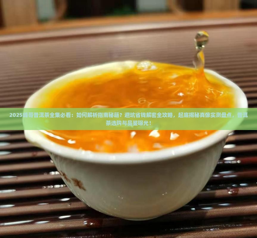 峰哥普洱茶全集