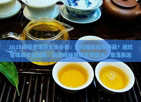 峰哥普洱茶全集