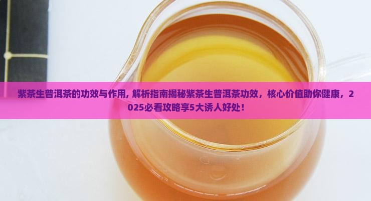 紫茶生普洱茶的功效与作用