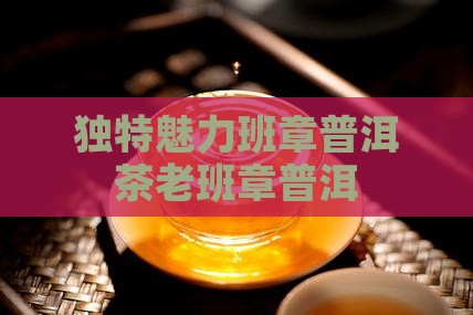 魅力茶海金奖老班章