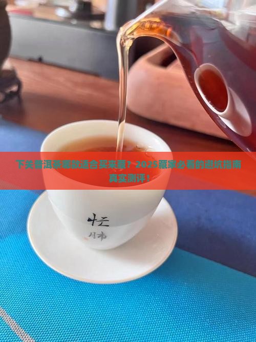 下关普洱茶哪款适合购买藏