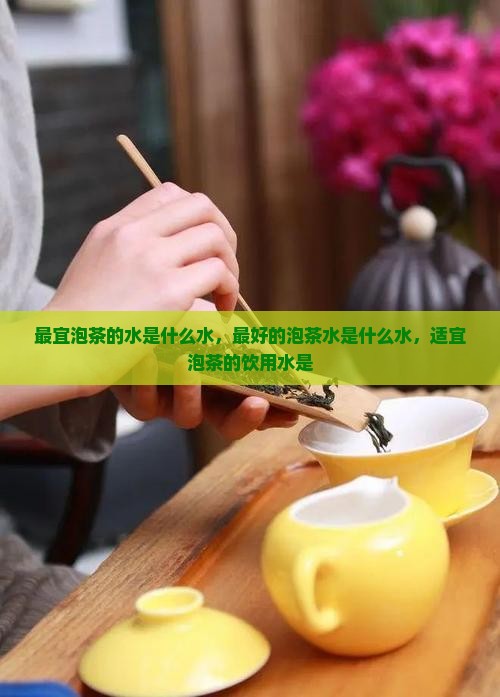 最宜泡茶的水是什么水