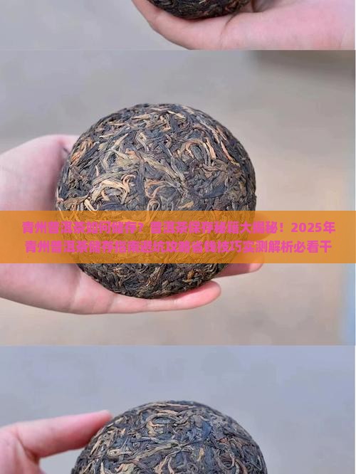 青州普洱茶如何储存的