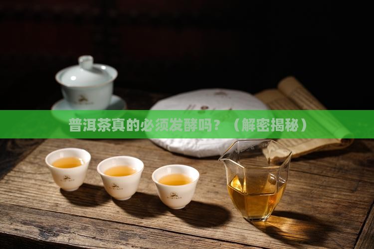 普洱茶一定发酵吗