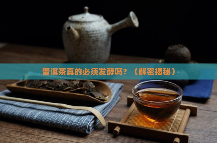 普洱茶一定发酵吗