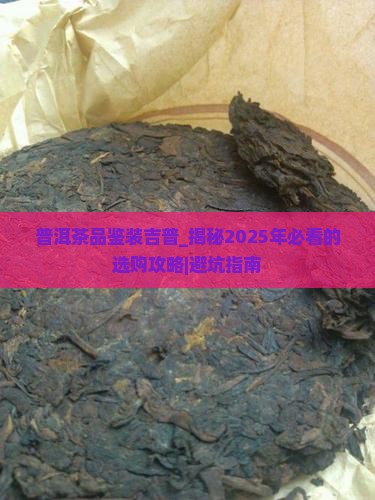普洱茶品鉴装吉普