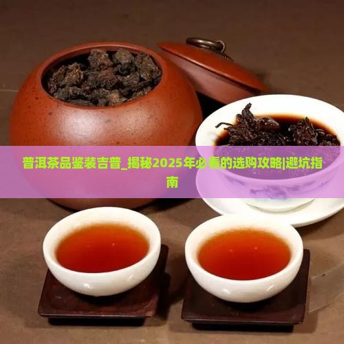 普洱茶品鉴装吉普