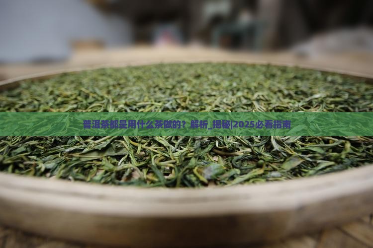 普洱茶都是用什么茶做的