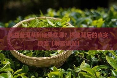 大益普洱茶为什么卖这么贵