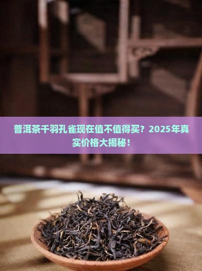 普洱茶千羽孔雀现在价格 普洱茶千羽孔雀现在价格